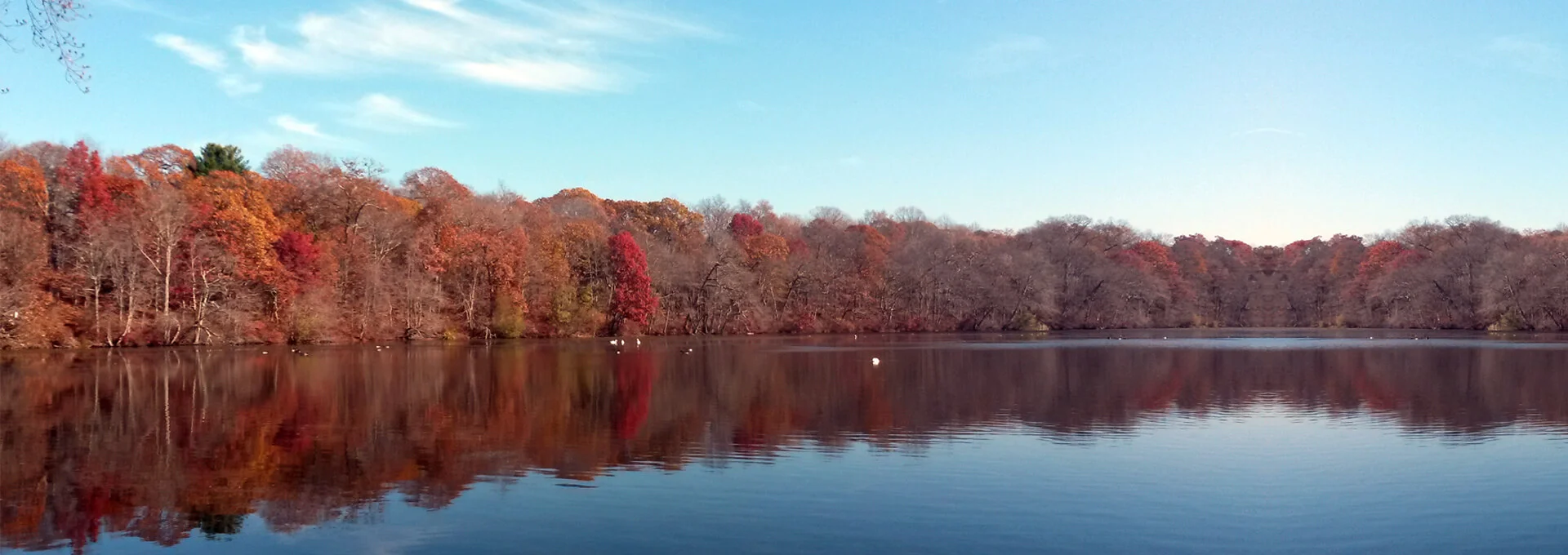 Dentist in Huntington NY